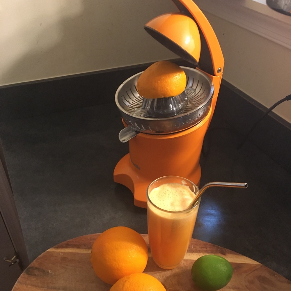 Breville Citrus Press Juicer